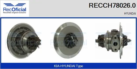 Core assembly, turbocharger (RECCH78026.0)