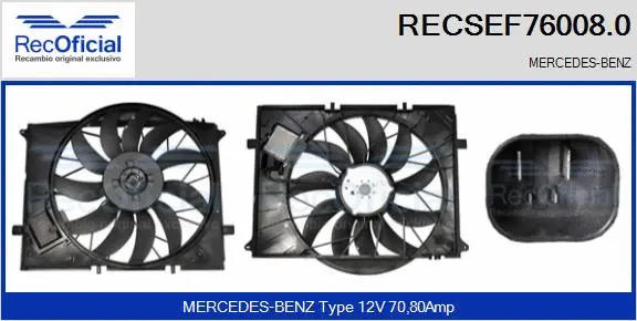 Electric Motor, radiator fan (RECSEF76008.0)