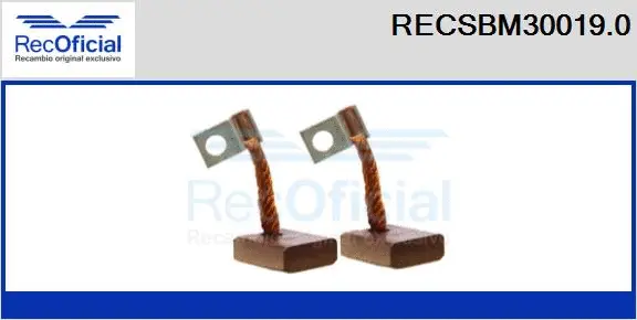 Carbon Brush, starter (RECSBM30019.0)