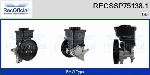 Hydraulic Pump, steering (RECSSP75138.1)