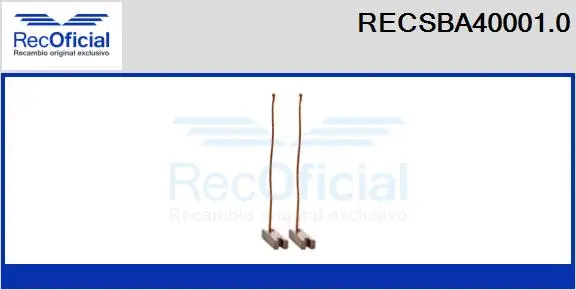 Carbon Brush, alternator (RECSBA40001.0)