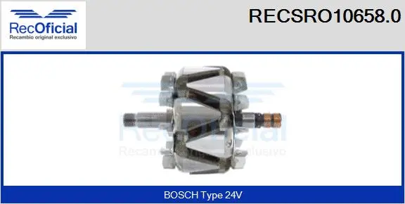 Rotor, alternator (RECSRO10658.0)