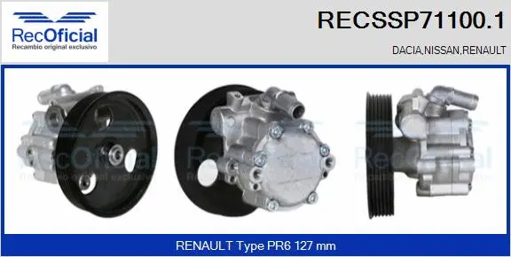 Hydraulic Pump, steering (RECSSP71100.1)