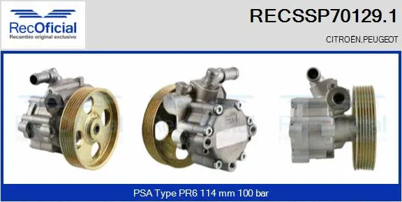 Hydraulic Pump, steering (RECSSP70129.1)