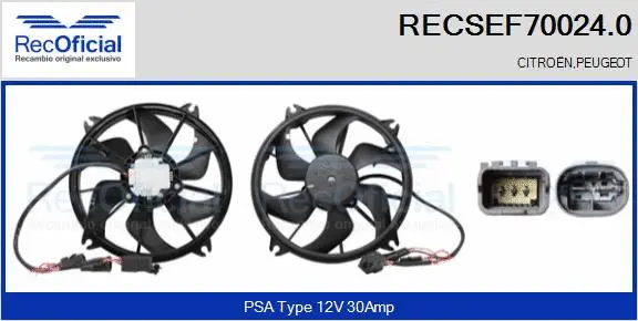 Electric Motor, radiator fan (RECSEF70024.0)