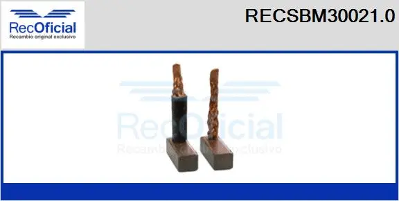 Carbon Brush, starter (RECSBM30021.0)