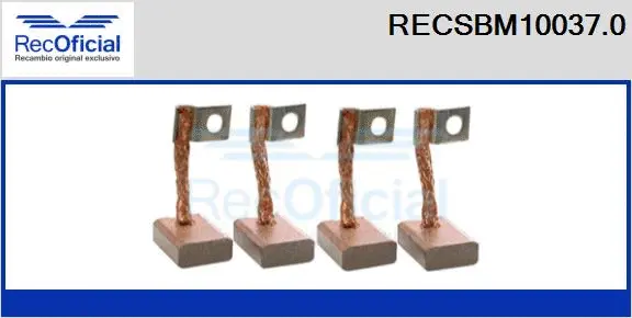 Carbon Brush, starter (RECSBM10037.0)