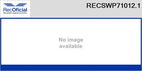 Washer Fluid Pump, window cleaning (RECSWP71012.1)