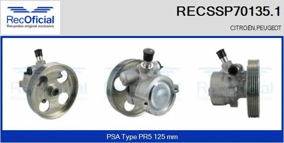 Hydraulic Pump, steering (RECSSP70135.1)