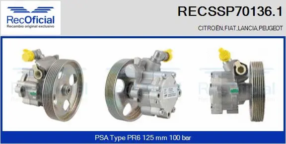 Hydraulic Pump, steering (RECSSP70136.1)