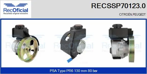 Hydraulic Pump, steering (RECSSP70123.0)