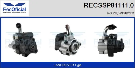 Hydraulic Pump, steering (RECSSP81111.0)