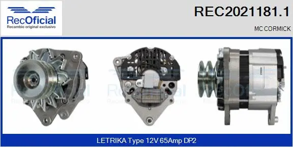 Alternator (REC2021181.1)
