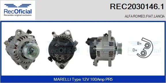 Alternator (REC2030146.1)