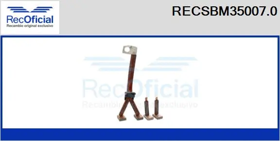 Carbon Brush, starter (RECSBM35007.0)