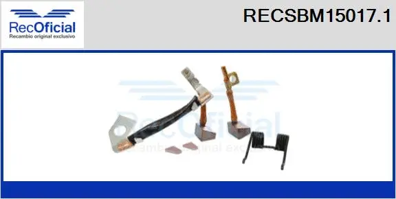 Carbon Brush, starter (RECSBM15017.1)