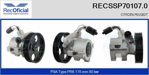 Hydraulic Pump, steering (RECSSP70107.0)