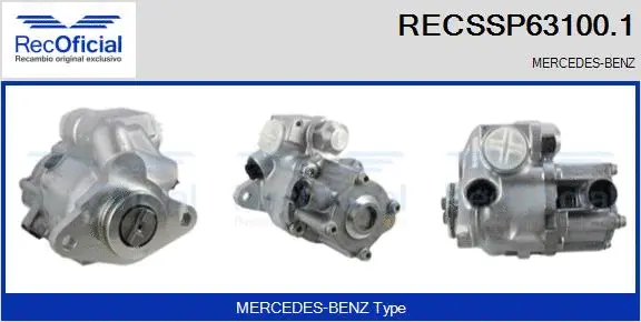 Hydraulic Pump, steering (RECSSP63100.1)