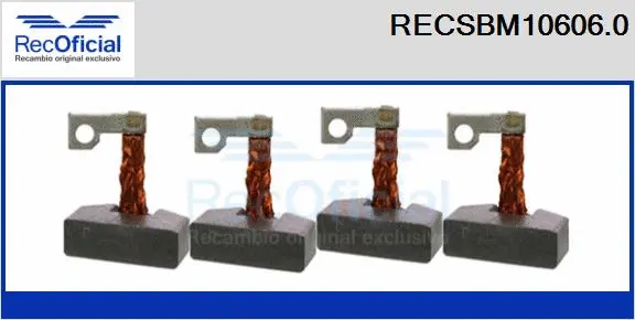 Carbon Brush, starter (RECSBM10606.0)