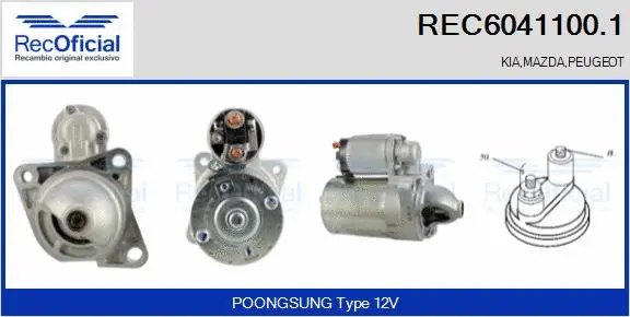 Starter (REC6041100.1)