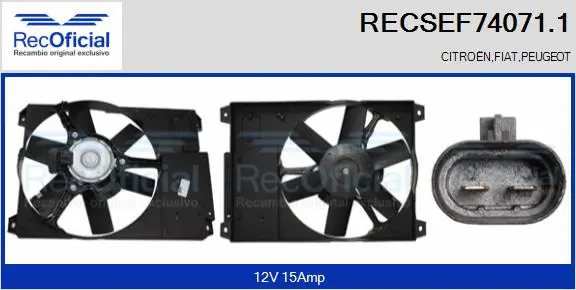 Electric Motor, radiator fan (RECSEF74071.1)