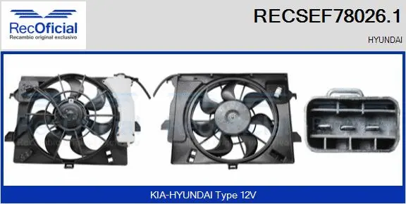 Electric Motor, radiator fan (RECSEF78026.1)