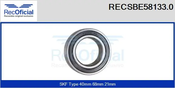 Bearing (RECSBE58133.0)