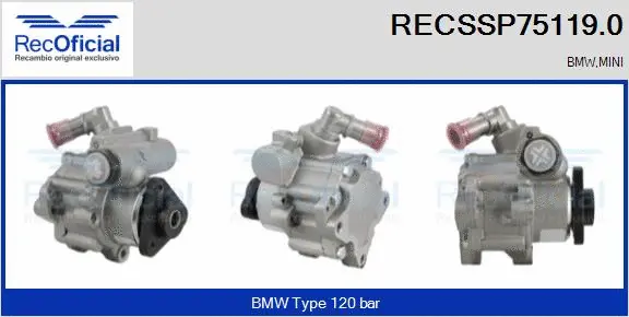 Hydraulic Pump, steering (RECSSP75119.0)