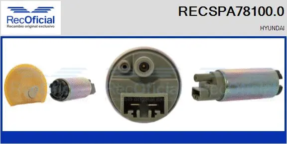 Fuel Pump (RECSPA78100.0)