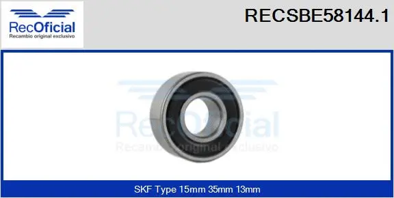 Bearing (RECSBE58144.1)
