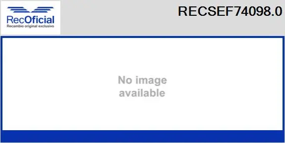 Electric Motor, radiator fan (RECSEF74098.0)