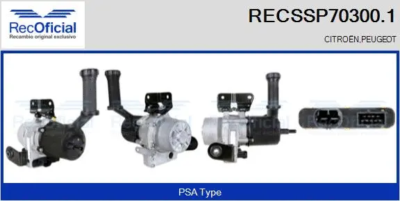 Hydraulic Pump, steering (RECSSP70300.1)