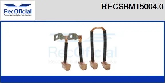 Carbon Brush, starter (RECSBM15004.0)