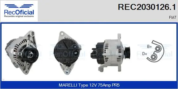 Alternator (REC2030126.1)