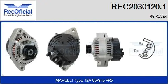 Alternator (REC2030120.1)