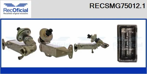 EGR Module (RECSMG75012.1)
