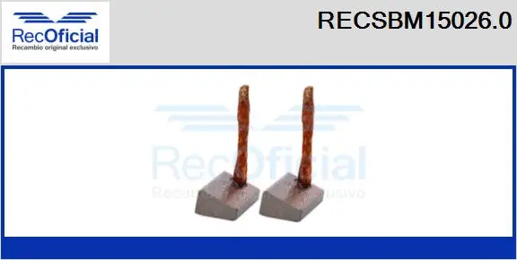 Carbon Brush, starter (RECSBM15026.0)