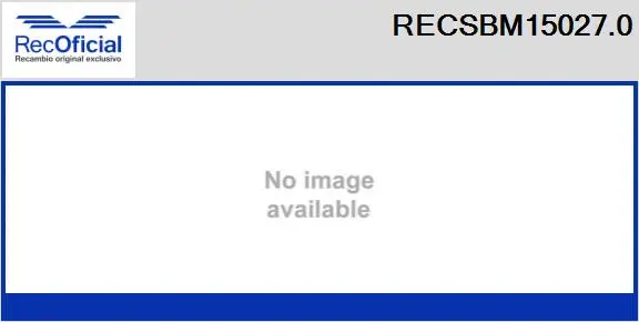 Carbon Brush, starter (RECSBM15027.0)