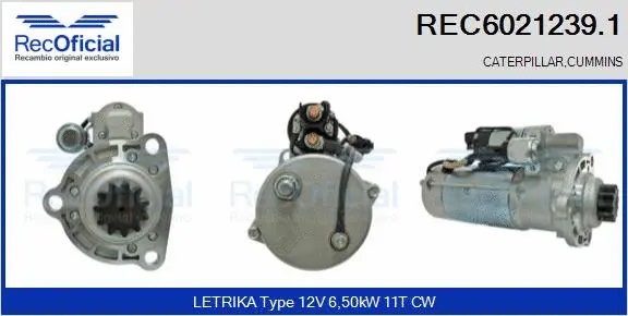 Starter (REC6021239.1)