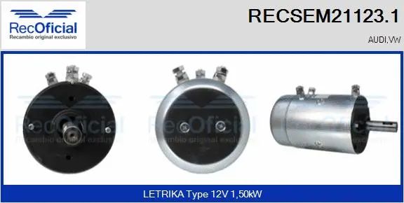 Electric Motor (RECSEM21123.1)