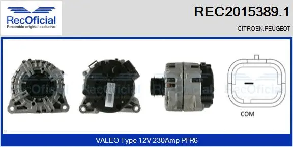 Alternator (REC2015389.1)