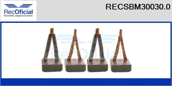 Carbon Brush, starter (RECSBM30030.0)