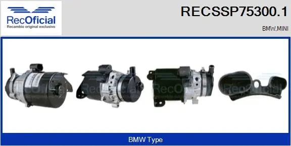 Hydraulic Pump, steering (RECSSP75300.1)