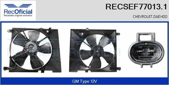 Electric Motor, radiator fan (RECSEF77013.1)