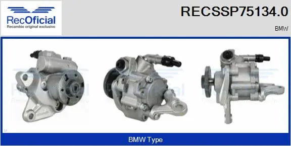 Hydraulic Pump, steering (RECSSP75134.0)