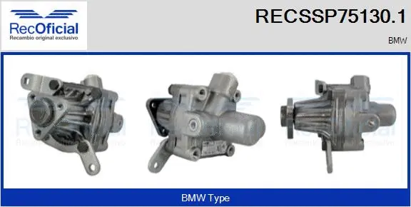 Hydraulic Pump, steering (RECSSP75130.1)