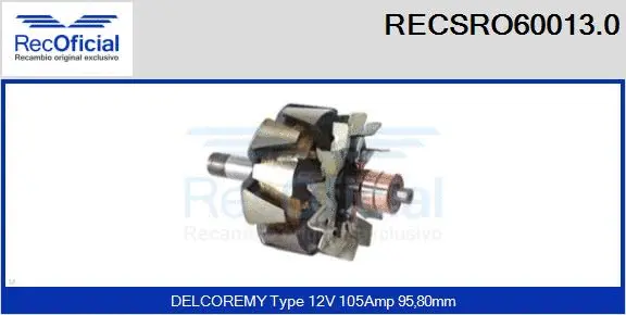 Rotor, alternator (RECSRO60013.0)