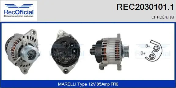 Alternator (REC2030101.1)