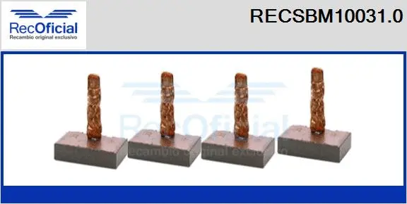 Carbon Brush, starter (RECSBM10031.0)