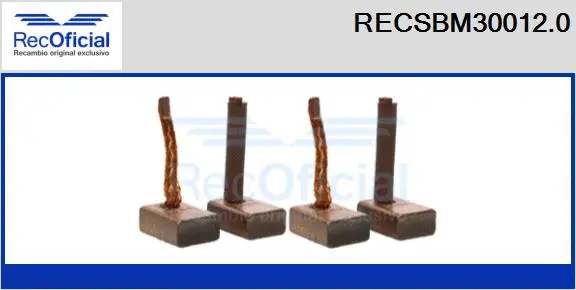 Carbon Brush, starter (RECSBM30012.0)